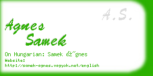 agnes samek business card